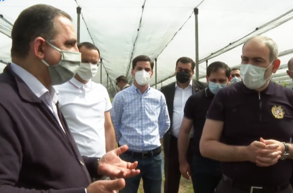 Пашинян посетил Араратский марз, чтобы ознакомиться с проводимыми сельскохозяйственными работами (видео)